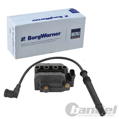 Borgwarner zündspule - (beru),
